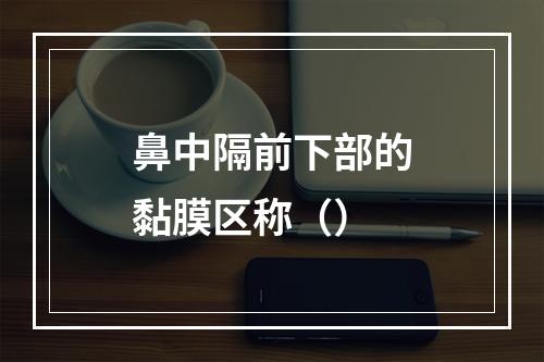 鼻中隔前下部的黏膜区称（）