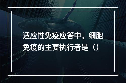 适应性免疫应答中，细胞免疫的主要执行者是（）