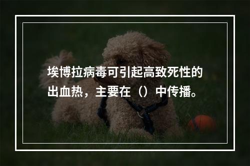 埃博拉病毒可引起高致死性的出血热，主要在（）中传播。