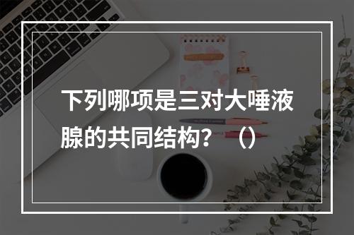 下列哪项是三对大唾液腺的共同结构？（）