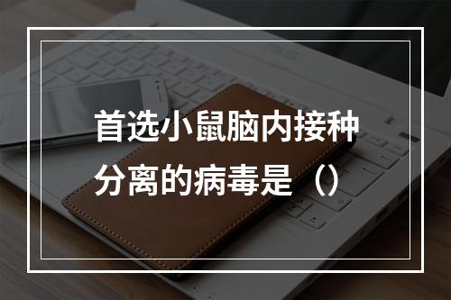 首选小鼠脑内接种分离的病毒是（）