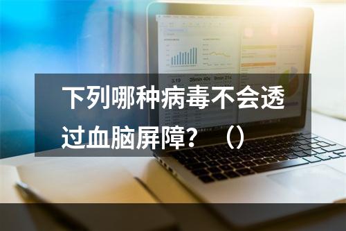 下列哪种病毒不会透过血脑屏障？（）