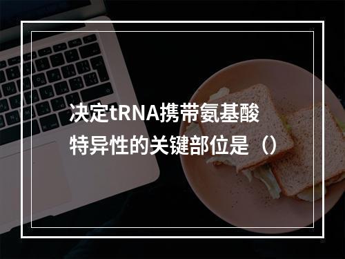 决定tRNA携带氨基酸特异性的关键部位是（）