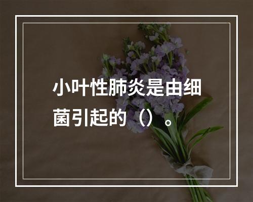 小叶性肺炎是由细菌引起的（）。