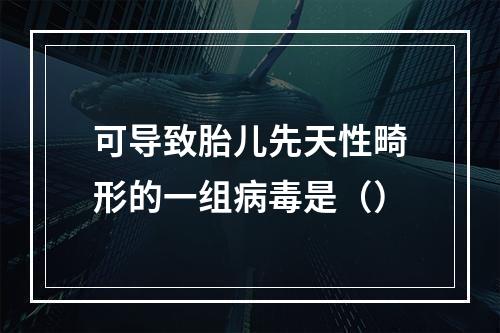 可导致胎儿先天性畸形的一组病毒是（）