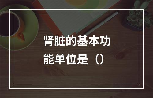 肾脏的基本功能单位是（）