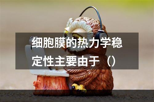 细胞膜的热力学稳定性主要由于（）