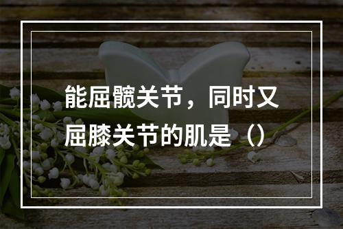 能屈髋关节，同时又屈膝关节的肌是（）