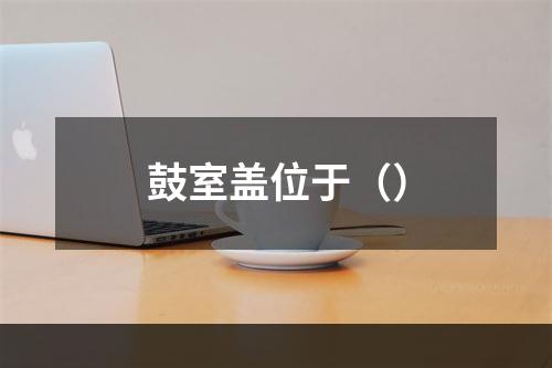 鼓室盖位于（）