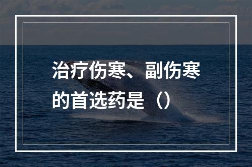 治疗伤寒、副伤寒的首选药是（）