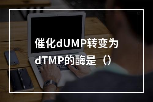 催化dUMP转变为dTMP的酶是（）