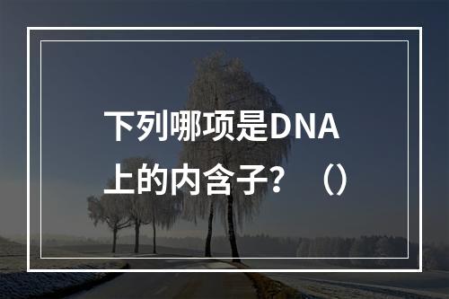 下列哪项是DNA上的内含子？（）