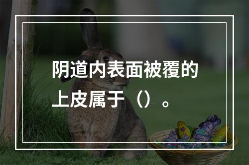 阴道内表面被覆的上皮属于（）。