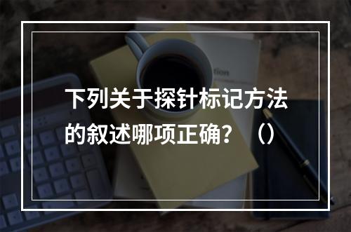 下列关于探针标记方法的叙述哪项正确？（）