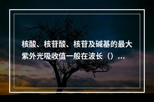 核酸、核苷酸、核苷及碱基的最大紫外光吸收值一般在波长（）。