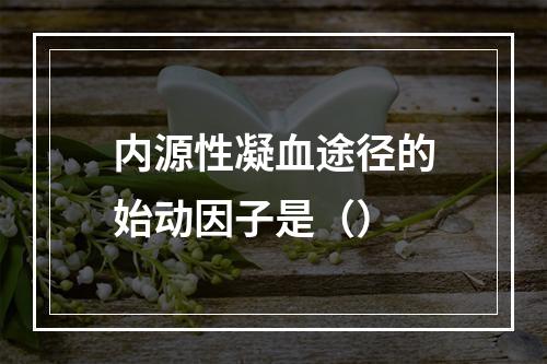 内源性凝血途径的始动因子是（）