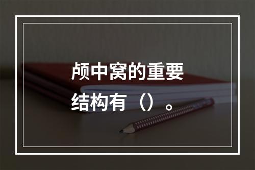 颅中窝的重要结构有（）。