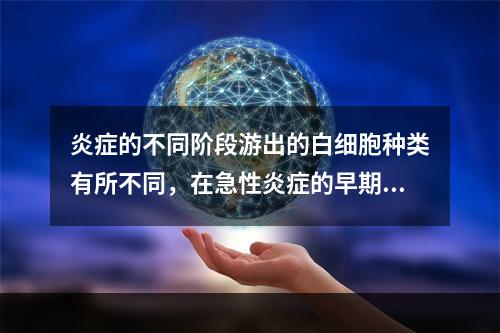 炎症的不同阶段游出的白细胞种类有所不同，在急性炎症的早期（2