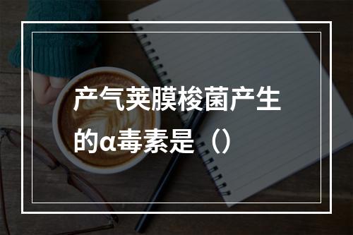 产气荚膜梭菌产生的α毒素是（）