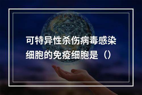 可特异性杀伤病毒感染细胞的免疫细胞是（）