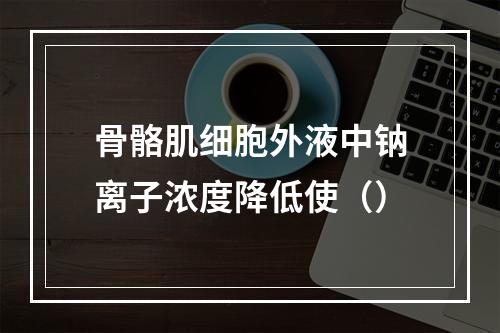 骨骼肌细胞外液中钠离子浓度降低使（）