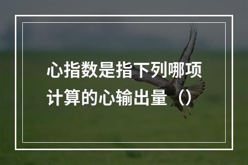 心指数是指下列哪项计算的心输出量（）