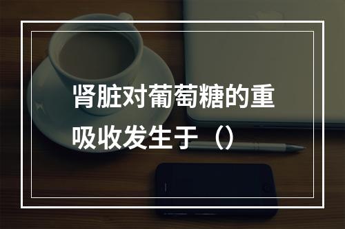 肾脏对葡萄糖的重吸收发生于（）