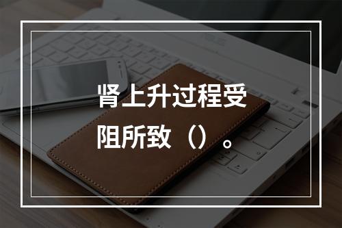 肾上升过程受阻所致（）。