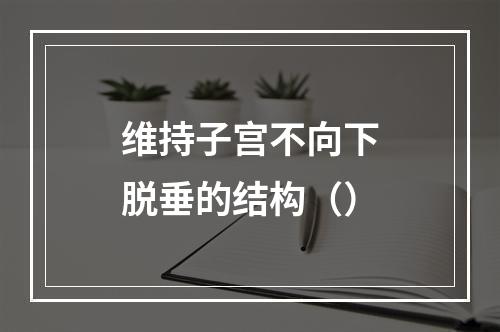 维持子宫不向下脱垂的结构（）