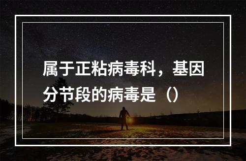 属于正粘病毒科，基因分节段的病毒是（）