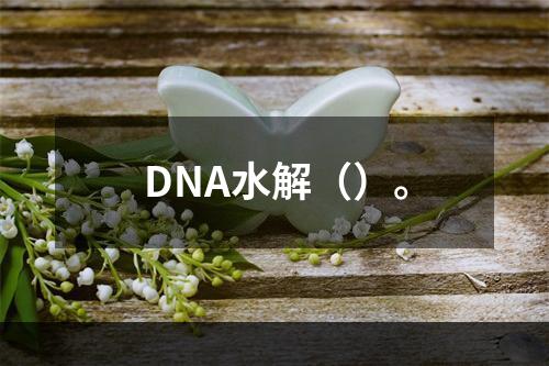 DNA水解（）。