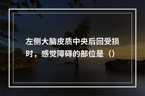 左侧大脑皮质中央后回受损时，感觉障碍的部位是（）