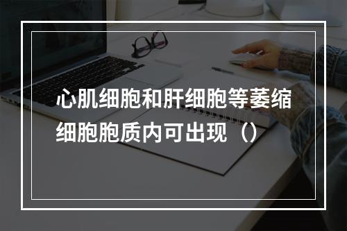 心肌细胞和肝细胞等萎缩细胞胞质内可出现（）