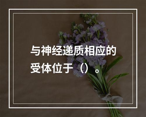 与神经递质相应的受体位于（）。