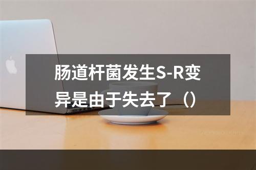 肠道杆菌发生S-R变异是由于失去了（）