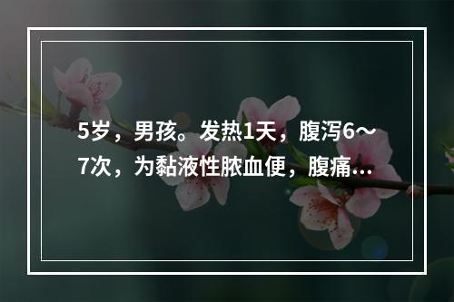 5岁，男孩。发热1天，腹泻6～7次，为黏液性脓血便，腹痛伴里