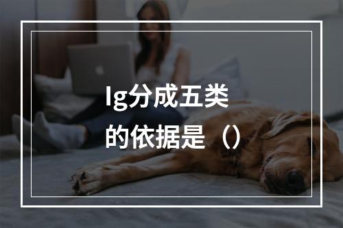 Ig分成五类的依据是（）