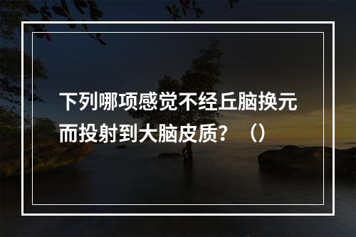 下列哪项感觉不经丘脑换元而投射到大脑皮质？（）