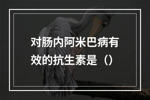 对肠内阿米巴病有效的抗生素是（）