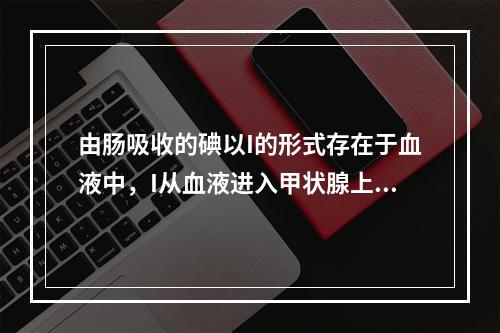 由肠吸收的碘以I的形式存在于血液中，I从血液进入甲状腺上皮细