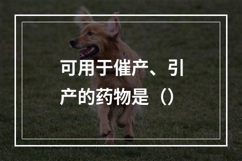 可用于催产、引产的药物是（）