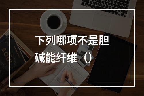 下列哪项不是胆碱能纤维（）