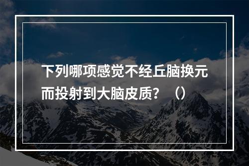 下列哪项感觉不经丘脑换元而投射到大脑皮质？（）