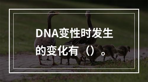 DNA变性时发生的变化有（）。