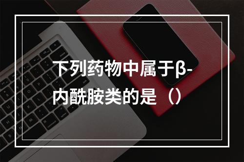 下列药物中属于β-内酰胺类的是（）