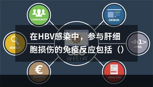 在HBV感染中，参与肝细胞损伤的免疫反应包括（）