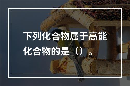 下列化合物属于高能化合物的是（）。