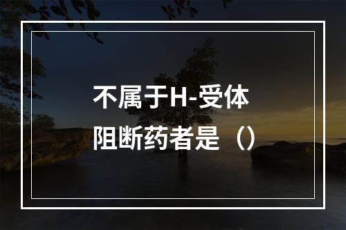 不属于H-受体阻断药者是（）