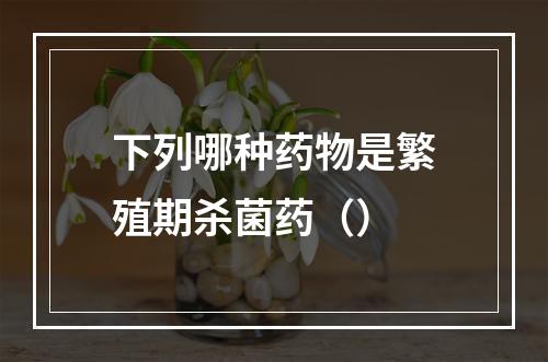 下列哪种药物是繁殖期杀菌药（）