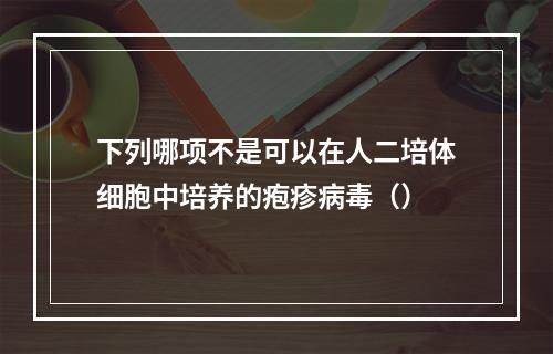 下列哪项不是可以在人二培体细胞中培养的疱疹病毒（）